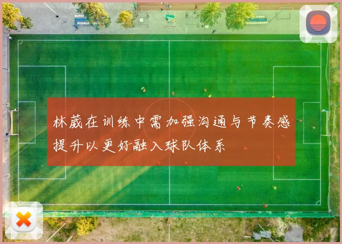 林葳在训练中需加强沟通与节奏感提升以更好融入球队体系