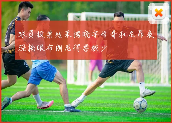 球员投票结果揭晓字母哥和尼昂表现抢眼布朗尼得票较少