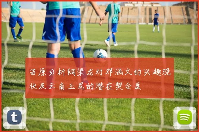 苗原分析铜梁龙对邓涵文的兴趣现状及云南玉昆的潜在契合度