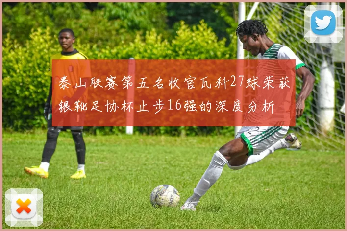 泰山联赛第五名收官瓦科27球荣获银靴足协杯止步16强的深度分析
