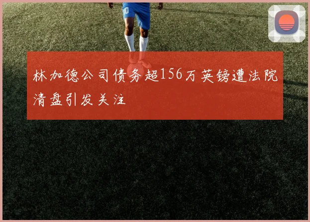 林加德公司债务超156万英镑遭法院清盘引发关注